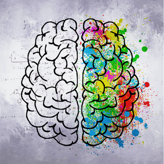 Dott.ssa Fulvia Cardaropoli 3